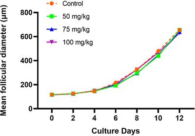 Follicle Rescue From Prepubertal Ovaries After Recent Treatment With Cyclophosphamide—An Experimental Culture System Using Mice to Achieve Mature Oocytes for Fertility Preservation
